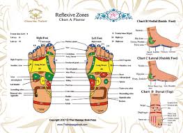 Thai Foot Reflexology For Health Video Thai Massage Book