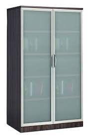 tall storage cabinet with gl doors