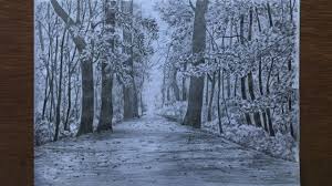 forest drawing in pencil landscape