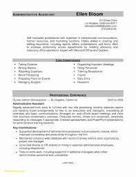 12 13 Core Competencies On Resume Examples