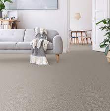 carpet care maintenance fight
