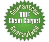 kiwi carpet cleaning reviews atlanta