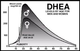 Dhea Mystery Hormone Or Fountain Of Youth Jeffrey C