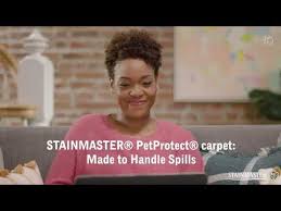stainmaster you