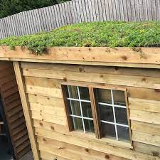 Green Roofs For Garden Buildings