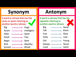 synonym vs antonym what s the