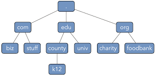 4 6 udp socket programming dns