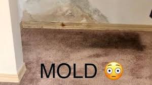diy mold out of carpet step by step
