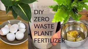 make zero waste plant fertilizer with