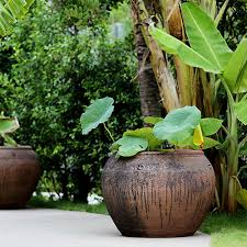 best d garden plant pots and