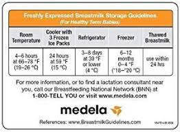 Medela Milk Storage Guidelines Magnet 1 Each