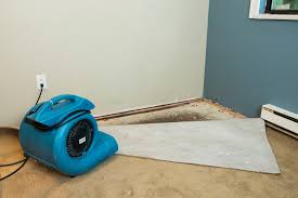 how water damage to your carpet affects