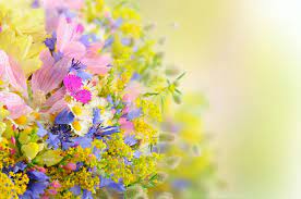 1500 flowers wallpapers wallpapers com