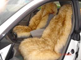 Fuzzy Seat Covers Asientos