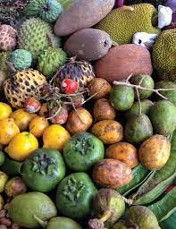 discover tropical fruit groups edible