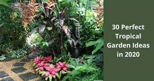 30 Perfect Tropical Garden Ideas In