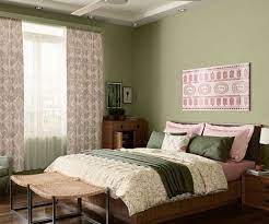 try diced olive house paint colour