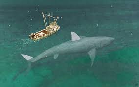 Find & download free graphic resources for food chain. Shark Fact Of The Day Megalodon S Position At The Top Of The Food Chain