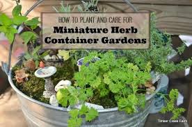 Container Gardens For Fall And Winter