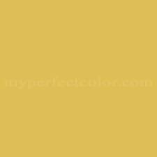 Kelly Moore K 5 3 Yellow Dahlia