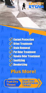 carpet cleaning in elmhurst il