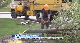 If you notice the messaging in the. Ohio High School Students Chop Down 23 Trees As Senior Prank Could Face Vandalism Charges New York Daily News