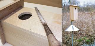 Fill the pilot holes with wood putty and smooth the this woodworking project was about duck house plans. How To Build A Wood Duck Nest Box Audubon