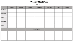 daily meal plan templates excel