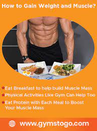 how to gain weight and muscle busy
