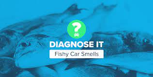 why does my car smell of fish