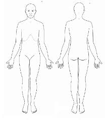 Objectives • describe the anatomical position verbally or by demonstrating it • demonstrate ability to use anatomical terms describing body landmarks, directions. Blank Anatomical Position Diagram Human Anatomy