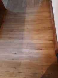 possible mold under hardwood floor