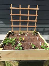 Square Footage Gardening Planter Boxes