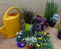 How To Plant Pots For All Year Round