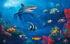 Moving Underwater Wallpapers - Top Free ...