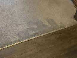 water out of carpet after a flood