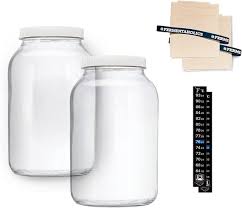 2 Pack One Gallon Glass Jars With
