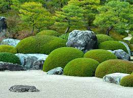 Japanese Trees And Plants For