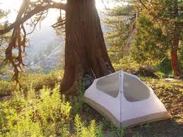 This is a free campsite. Dispersed Camping In The U S National Forests