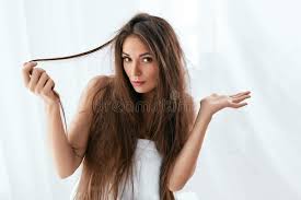 When drying long hair you'll want to maximize the silky texture, while building body around the hairline. Hair Problem Woman With Dry And Damaged Long Hair Stock Photo Image Of Splitting Brown 129738458