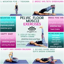 pelvic floor muscle yoga exercises