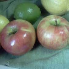 large honeycrisp apple and nutrition facts