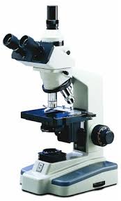 light microscope and electron microscope