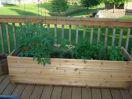 15 Deck Vegetable Garden Ideas To Grow