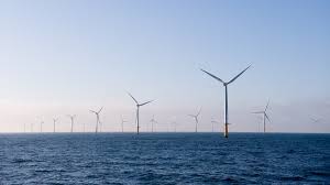 Windmolens op zee beïnvloeden ook ecosysteem