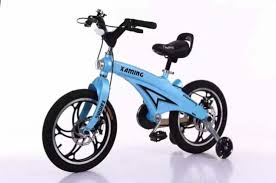 Book now and save with tourradar.com! China Indonesia Steel Frame Children Bicycle Price Cheap Kids Bicycle Toys From Hebei China Kids Bike And Kids Bicycle Price