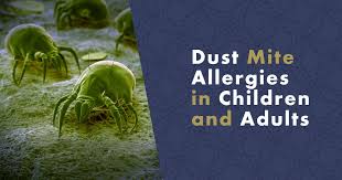 dust mite allergies in children and s