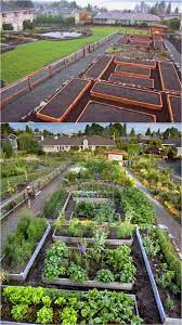 Vegetable Garden Layout 7 Best Design