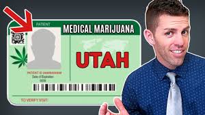 When purchasing medical cannabis at a licensed dispensary, patients will be required to present their mmcc id card. How To Get A Medical Cannabis Card In Utah Youtube