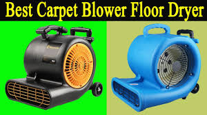5 best carpet dryer review best air